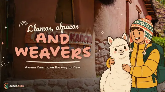 Andean camelids and textiles — Awana Kancha: llamas, alpacas and weaving on the road to Pisac