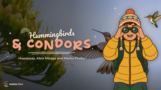 Wings over Cusco — Birdwatching in Cusco: Huacarpay, Abra Málaga and Machu Picchu