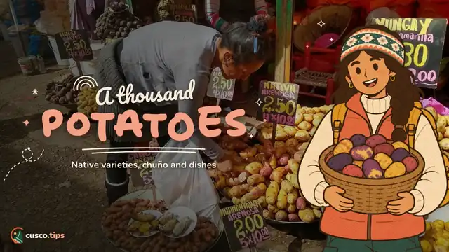 A thousand potatoes — Native potatoes of Cusco: varieties, chuño and dishes to try