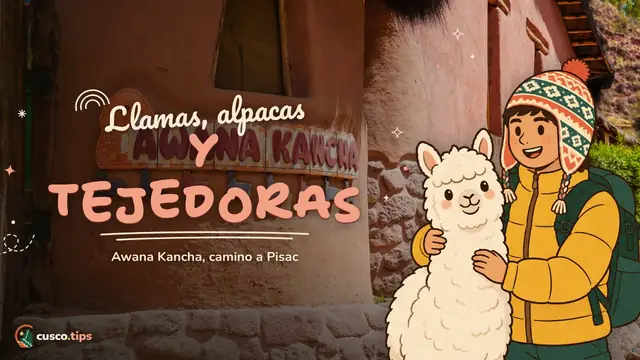 Camélidos y textiles andinos — Awana Kancha: llamas, alpacas y tejidos en el camino a Pisac