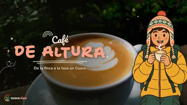 Café de altura — Café en Cusco: de dónde viene, cafeterías de especialidad y visitas a fincas