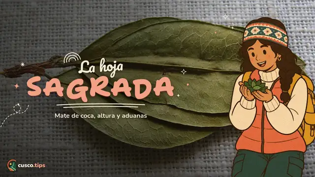 La hoja sagrada — La hoja de coca en Cusco: mate, mascado, mal de altura y si puedes llevarla a casa