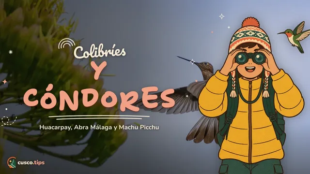 Alas sobre Cusco — Observación de aves en Cusco: Huacarpay, Abra Málaga y Machu Picchu
