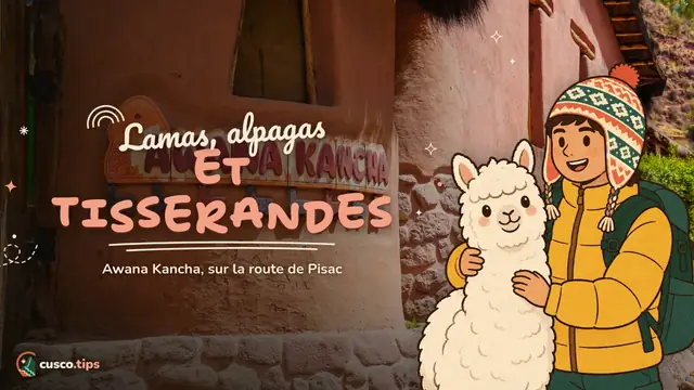 Camélidés et textiles andins — Awana Kancha : lamas, alpagas et tissage sur la route de Pisac