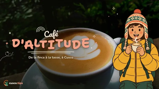 Café d'altitude — Le café à Cusco : son origine, les cafés de spécialité et les visites de fermes