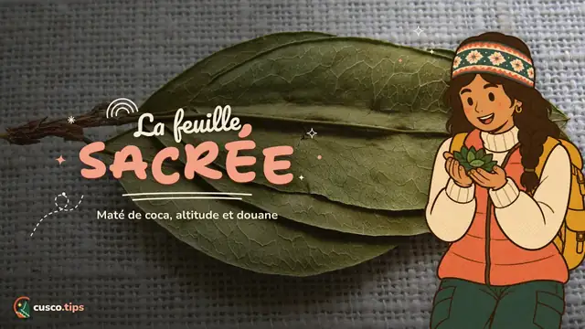 La feuille sacrée — La feuille de coca à Cusco : maté, mastication, mal de l'altitude et peut-on la rapporter chez soi