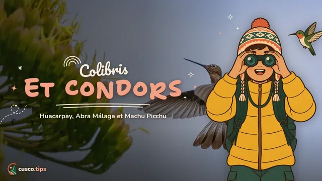 Colibris et condors — Observation des oiseaux à Cusco : Huacarpay, Abra Málaga et Machu Picchu