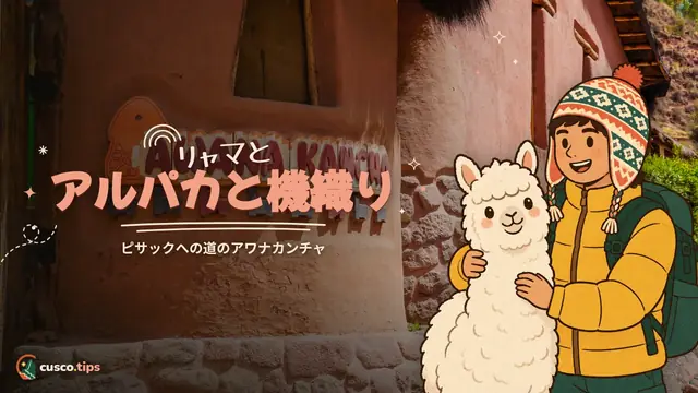 ラクダ科動物と織物 — アワナカンチャ:ピサックへの道でリャマ、アルパカと織物体験