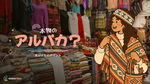 本物のアルパカ？ — クスコでアルパカ製品を買う：本物の見分け方・価格・買える場所
