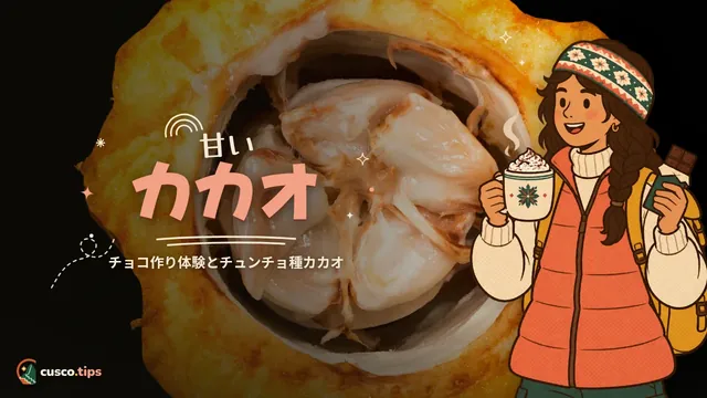 甘いカカオ — クスコのチョコレートとカカオ:ワークショップ、チュンチョ種、選び方