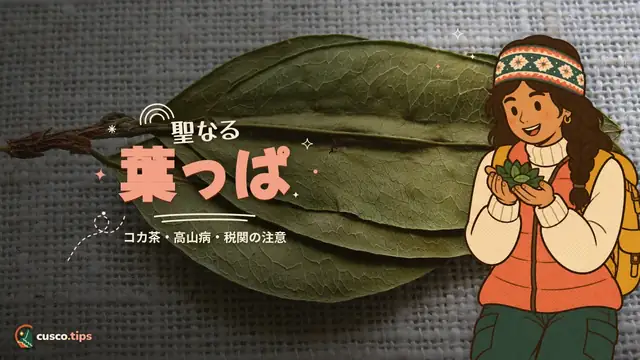 聖なる葉っぱ — クスコのコカの葉:コカ茶、噛み方、高山病、持ち帰れるか