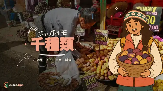 ジャガイモ千種類 — クスコの在来ジャガイモ:品種、チューニョ、試したい料理