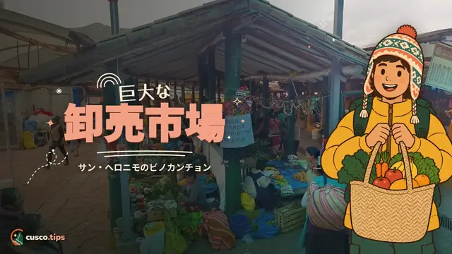 巨大な卸売市場 — ビノカンチョン市場:サン・ヘロニモの大卸売市場