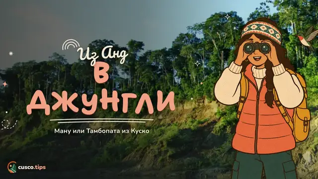 Из Анд в джунгли — Амазония из Куско: Ману или Тамбопата, сколько дней и как добраться