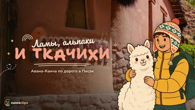 Ламы и андский текстиль — Авана Канча: ламы, альпаки и ткачество по дороге в Писак