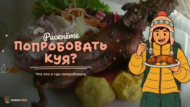 Рискнёте попробовать куя? — Куй в Куско: что это, как готовят морскую свинку и где попробовать