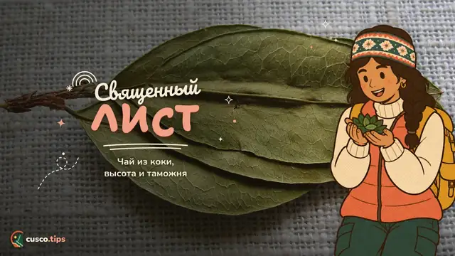 Священный лист — Лист коки в Куско: чай, жевание, горная болезнь и можно ли везти домой