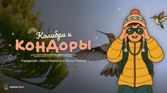 Крылья над Куско — Наблюдение за птицами в Куско: Уакарпай, Абра-Малага и Мачу-Пикчу
