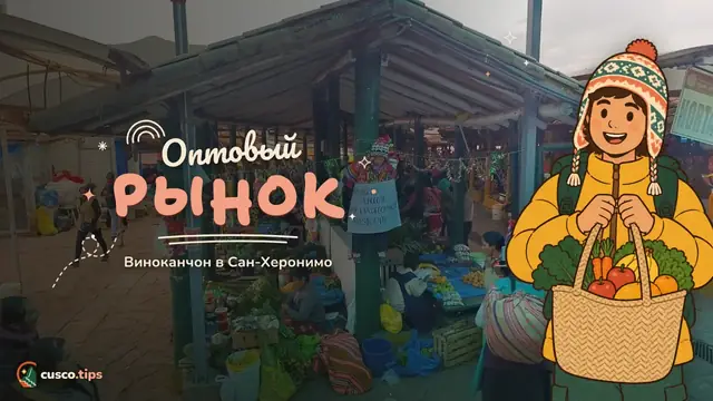 Оптовый рынок — Рынок Виноканчон: большой оптовый рынок Сан-Херонимо