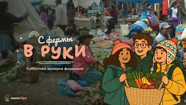 С фермы в руки — Субботняя фермерская ярмарка в Куско: продукты напрямую от производителей